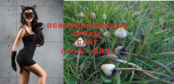 PSILOCYBIN Горнозаводск