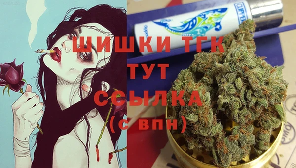 PSILOCYBIN Горнозаводск