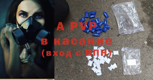 PSILOCYBIN Горнозаводск
