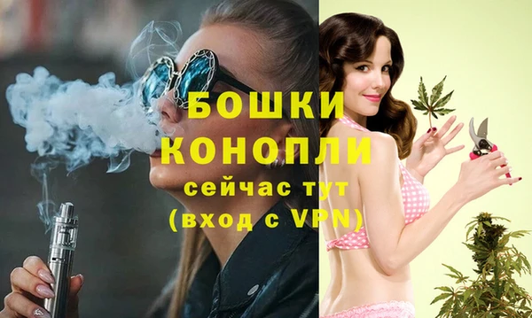 PSILOCYBIN Горнозаводск