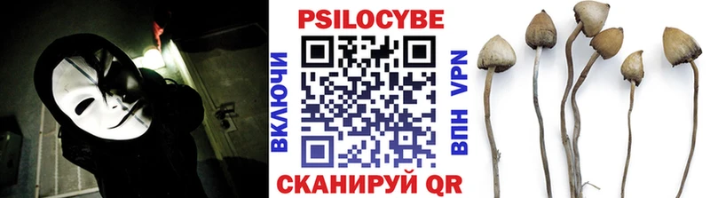 цены наркотик  Шахунья  Псилоцибиновые грибы ЛСД 