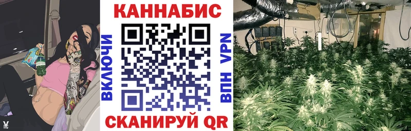 Марихуана гибрид  Шахунья 